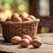 Organic eggs in the basket on backyard background.