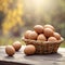 Organic eggs in the basket on backyard background.