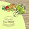 Organic Factory Shop with Only Natural Products