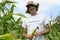 Organic farmer in okra plantation