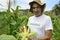 Organic farmer showing corn inside the plantation