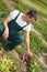 Organic farmer sorting beetroots