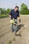 Organic Farmer Watering Some Cabbage Plants