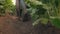 Organic farming, agriculture. farmer in rubber boots walks on dusty soil in field. Rubber boots on the legs of farmer