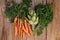 Organic farming vegetables: carrots, artichoke and bouquet of parsley