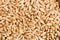 Organic Farro Wheat Whole Grain Dry Food