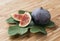 Organic fig