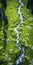 Organic Flow: Aerial View Of A River Through A Green Meadow