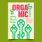 Organic Food Creative Advertising Poster Vector