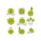 Organic food, farm fresh and natural product icons and elements collection for food market, ecommerce, organic products