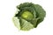 Organic food. Green savoy cabbages isolated on white background fresh green head. Textured green cabbage
