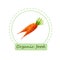 Organic food labels. Hand drawn bio carrot. Design for menu, natural food stores, packaging and advertising. Poster with