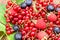 Organic forest berry fruit on rustic wooden table closeup