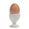 Organic Free-Range Egg