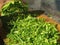 Organic frehs green chopped kale on a wooden chopping board