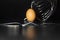 Organic fresh egg standing on two joined fork on black background