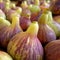 Organic fresh figs close up for sale at the local market