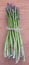 Organic fresh green asparagus bunch from a farmers market tied i