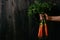 Organic fresh harvested vegetables. Farmer`s hand holding fresh carrots. Black wooden background with copy space