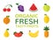Organic fresh tasty fruits concept. Set of flat fruits. Vegan menu. Healthy food design. Vector illustration