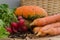 Organic fresh vegetables: pumpkin squash, carrots, scallion, rad