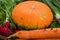 Organic fresh vegetables: pumpkin squash, carrots, scallion, rad