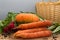 Organic fresh vegetables: pumpkin squash, carrots, scallion, rad