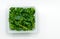 Organic fresh watercress or yellowcress in a square plastic box on white background, top view image, isolated on white background