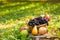 Organic fruit in basket in autumn grass