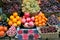 Organic fruit market in Italy