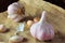 Organic garlic bulb isolated over rustic wooden kitchen table. Condiment harvested fresh from plantation. Closeup view