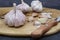 Organic garlic. Fresh garlic cloves and garlic bulb on a wooden cutting board
