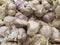 Organic garlic in the store. natural, ecological garlic close-up