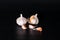 Organic garlic whole and cloves on the black background. close up images with water.