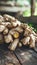 Organic ginger nutritious culinary herb for healthy cooking with spicy fresh flavor