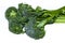 Organic Green Baby Broccoli or Broccolini
