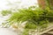 Organic Green Dill Herb