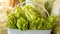 Organic green lettuce keep in a white plastic basket, salad vegetable in plastic bag on the shelves in a market