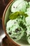 Organic Green Mint Chocolate Chip Ice Cream