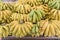 Organic green and natural ripening banana bunches at fruit stand in Geylang, Singapore