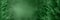 Organic green texture and background conifer, nature banner