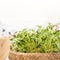 Organic green vegetable in Basket Healthy eating lifestyle