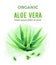 Organic green watercolor Aloe Vera plant