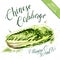 Organic health food for vegetarians and health care. Chinese cabbage