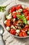 Organic Healthy Caprese Salad with Mozzarella