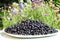 Organic healthy food bilberry, blueberry, huckleberry, whortleberry for vegans