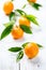 Organic healthy tangerine mandarine on a white wooden table