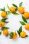 Organic healthy tangerine mandarine wreath on a table