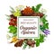 Organic herb and spice seasonings market