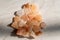 Organic Himalayan mineral salt crystals as cooking or healthy ingredient